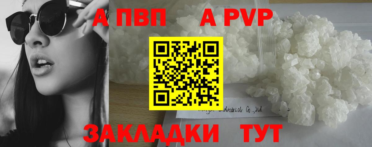 Alfa_PVP СК КРИС  A-PVP СК КРИС  Альфа ПВП крисы CK  Знаменск  Вход с VPN 