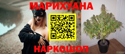 каннабис Кунгур
